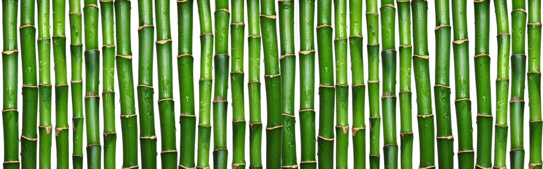 bamboo_texture1595.jpg
